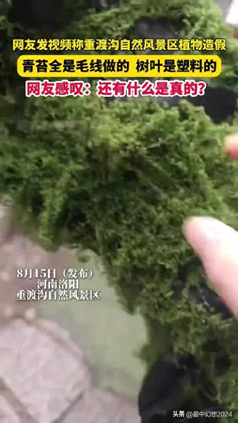 河南一自然风景区充满科技：青苔用毛线织，树叶用塑料做