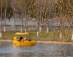 “游船公交化” 杭州千岛湖推“一票通” 畅玩
