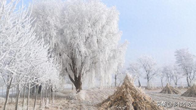 今冬最冷时间表出炉了，啥时候最冷？2026年春节冷不冷？早了解