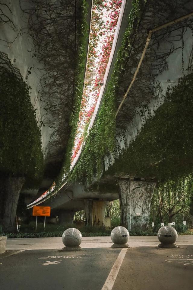 在丰泽，抬头撞见的美好......