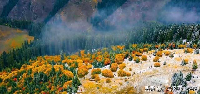 伊犁秋色漫游指南来啦！三条主题线路，开启你的如画旅程