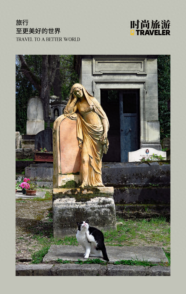 2025年11月4日 第40页