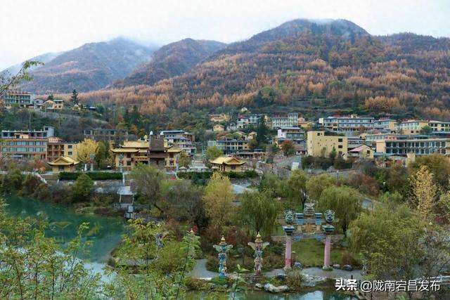 秋辞官鹅：一季斑斓入岁华