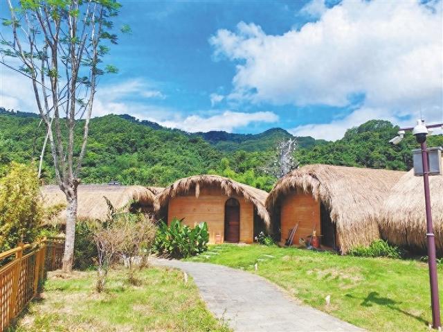 五指山毛纳村借助雨林生态发展民宿业