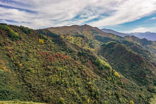 古浪寺屲山美景