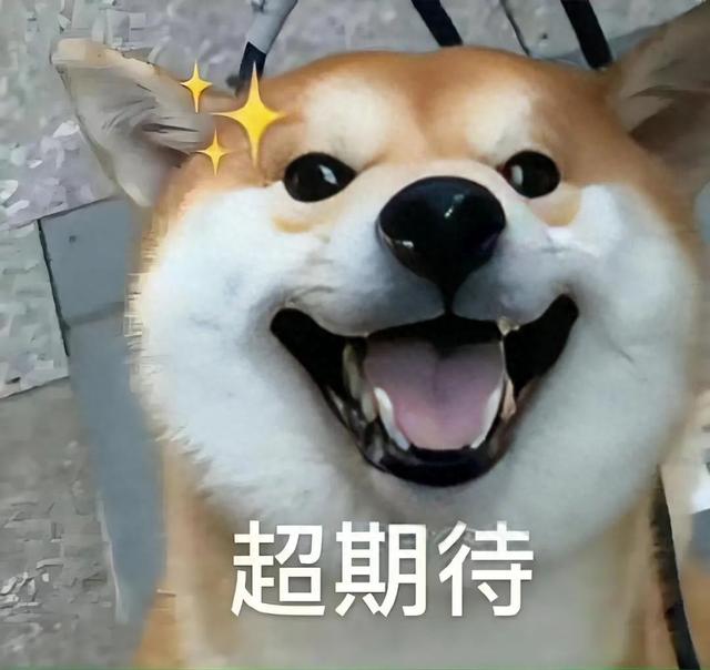 送！送！送！洛天依、A-SOUL……小南请你看全息演唱会