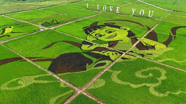 艺植赋能，花海焕新——北京翰墨稻艺开辟襄垣文旅新赛道