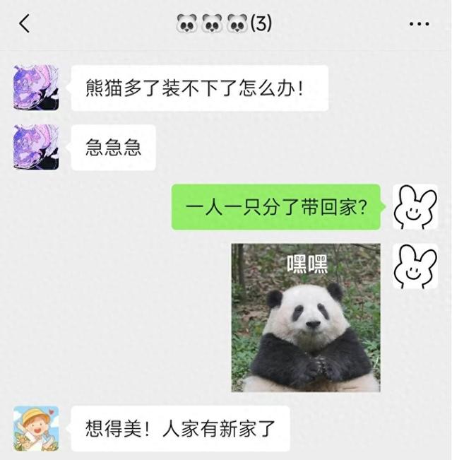 下载熊猫社区破解版（大熊猫搬家网友什么时候能去暖房）