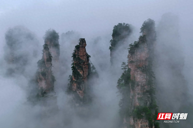 张家界十里画廊雨后云雾缭绕，宛如水墨画卷