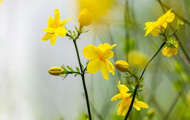 退休2年了，背着电脑去旅居