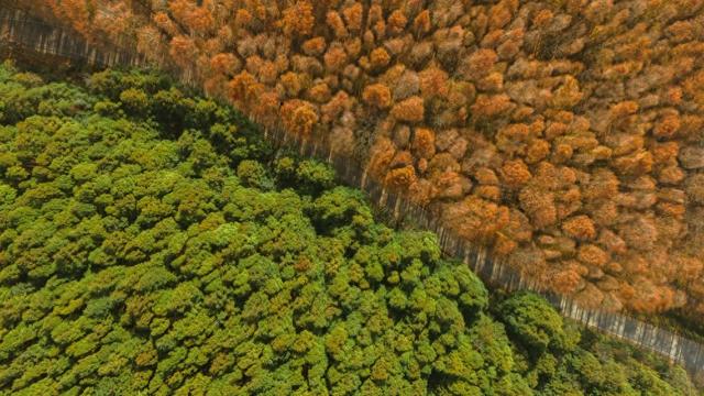以前盼客来又怕留不住，现在家家户户都能接待——南川山王坪村的民宿“突围记”