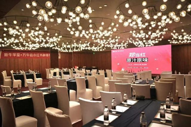 全中国最懂小红书的，是一群郑州的中年男人｜深氪