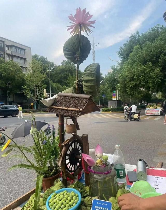 大武汉一日︱地铁口偶遇“季节盲盒”小摊，他把时令过成诗