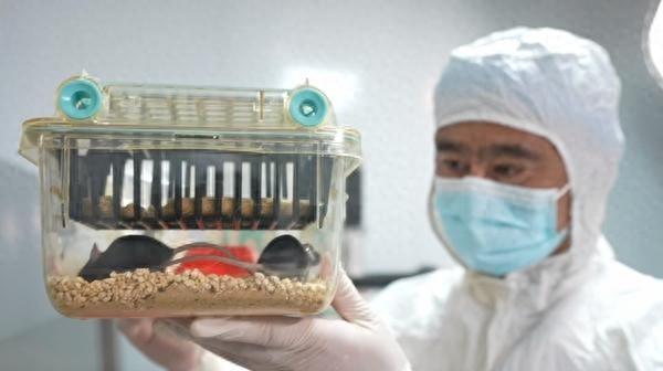 “太空小鼠”出征记