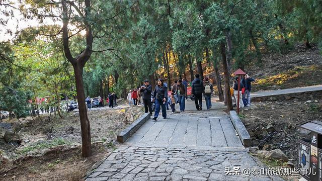 泰安：泰山腰一条鲜为人知的环山小道，却藏着深秋的惊艳