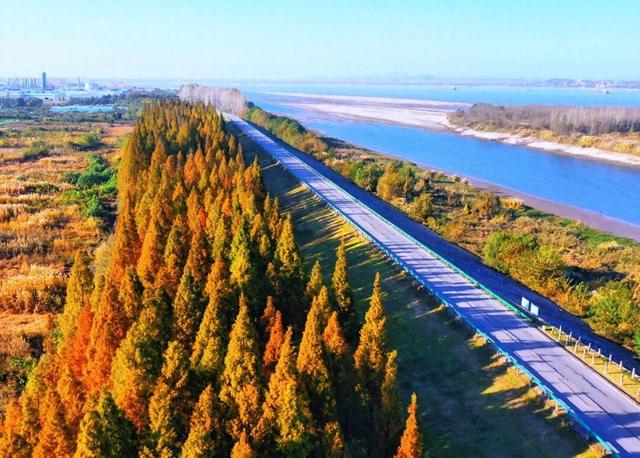 这片“童话森林”，红得如此烂漫！