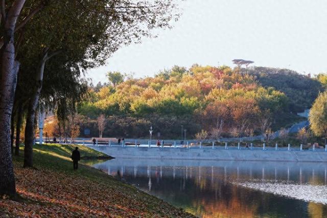 秋之彩色吉林｜苇花飞处是镜湖