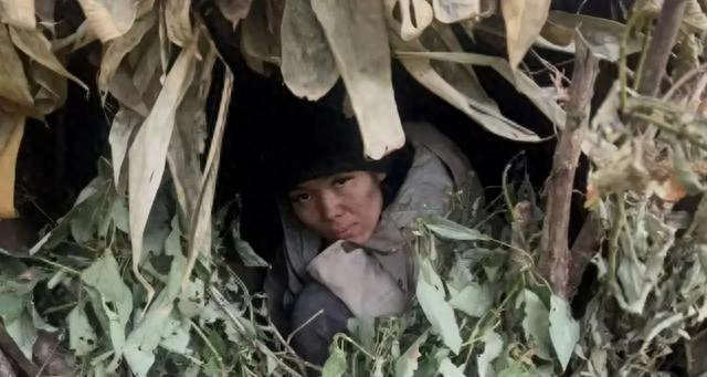 荒野求生“冷美人”搬入天然岩洞！