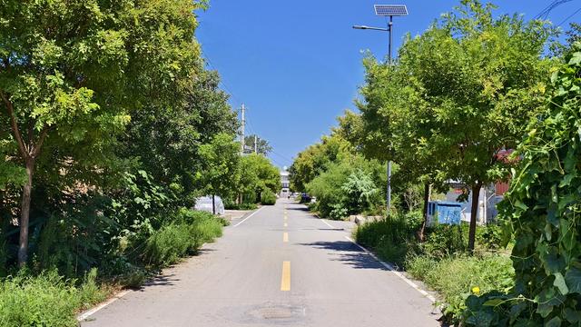 鹤壁翟村：国都旧邑翟让故里，唐代福胜寺暗藏玄机