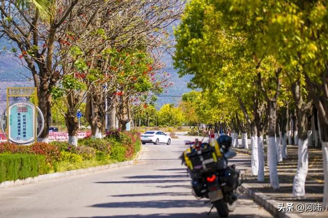 云南保山有条海棠路,种满的却是刺桐花,春日风景堪称一绝