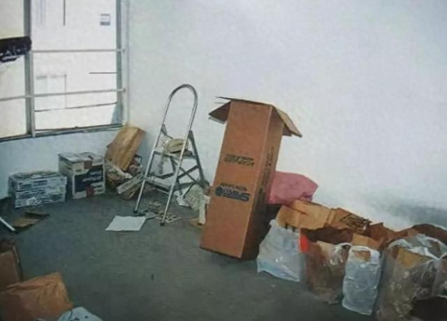 75岁张爱玲死在行军床上，满屋是用过的卫生纸，遗嘱：不许看遗体