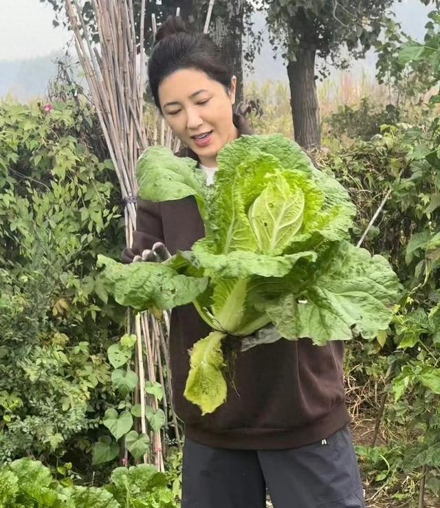 舞台上的她光鲜亮丽，私下的菜园却让人震惊	，娃娃菜比脸还大