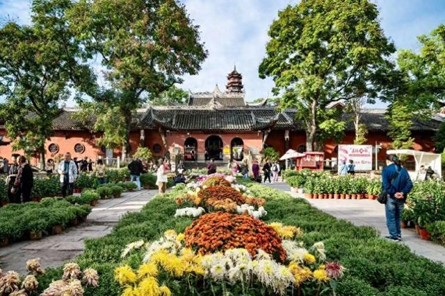 菊等你了！来重庆乘轨道交通打卡这些赏菊地