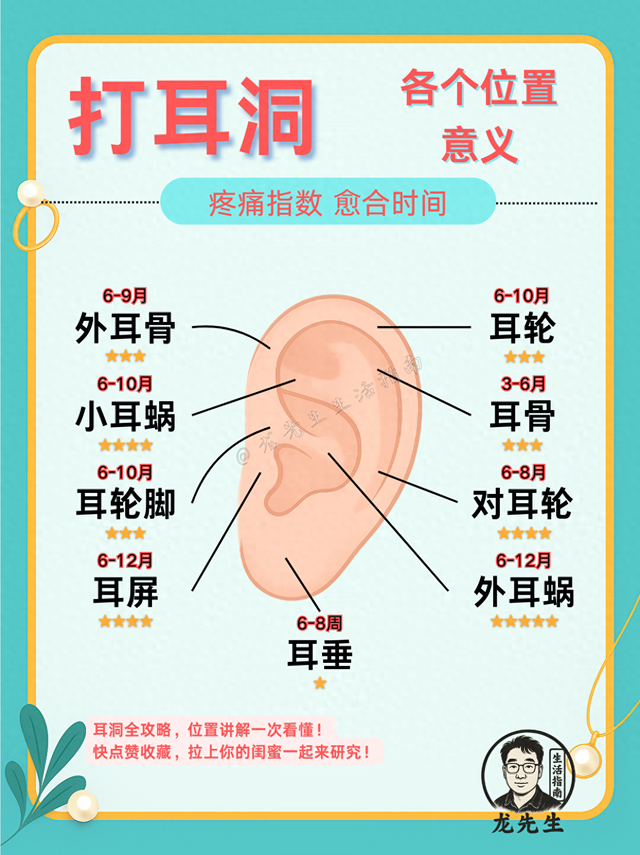 最佳的耳洞位置？？？（9个耳洞位置详解｜痛感×搭配一次看懂）