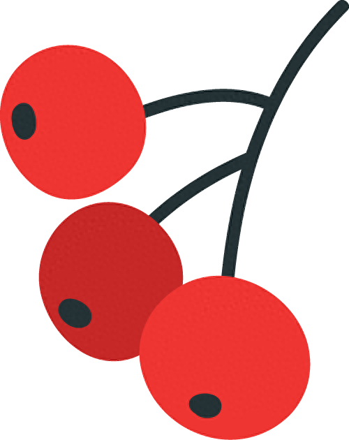 家庭园艺嘉年华｜北京兰花文化嘉年华将于明日启幕