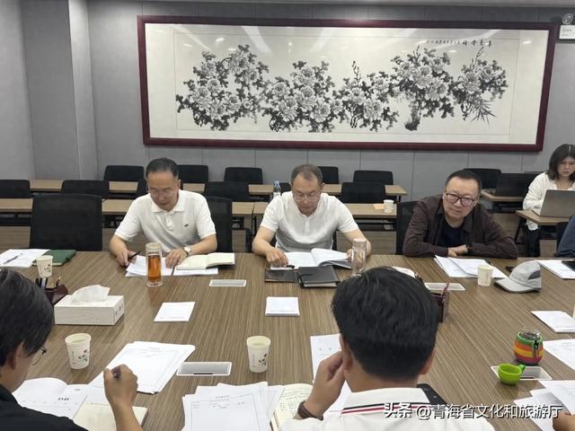省文化和旅游厅召开青海省国际化标准景区建设规划及建设标准意见建议征求座谈会