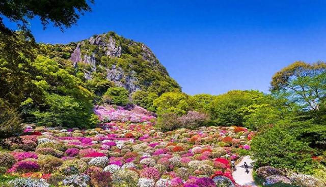 佐贺「武雄市」自由行:2天1夜自由行景点、美食、住宿推荐全整理