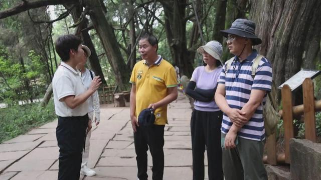 四川剑阁：讲好古柏故事 传播千年文化