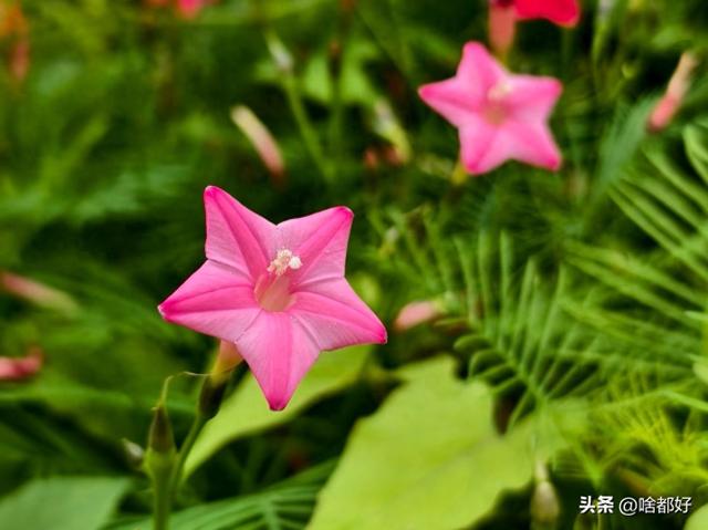 道歉伤感的话语（迟来的醒悟和道歉都太晚了）