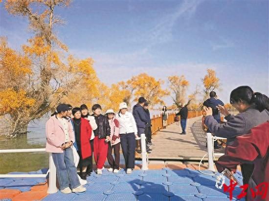 金秋胡杨迎客来