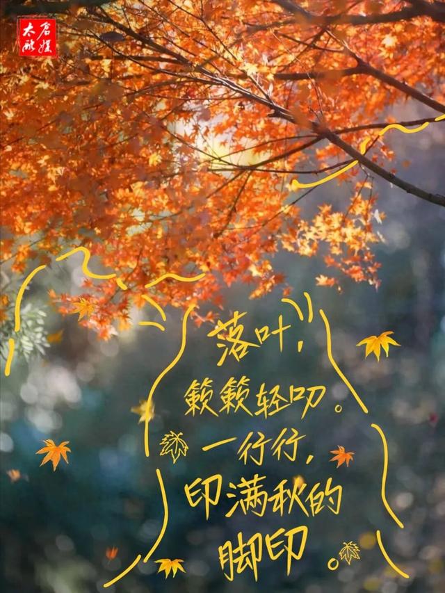 4个点位已公布！太仓人拍照请抓紧