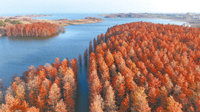 层林尽染 美景如画