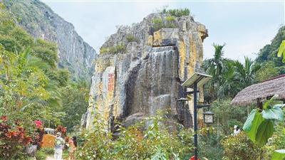 在黎乡，探寻雨林与万物共生