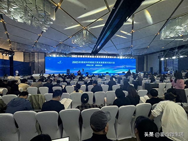 全域旅游公司参加发展要素对接大会