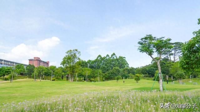 逃脱花园攻略（逃离城市热浪东莞这个秘密花园藏不住了）