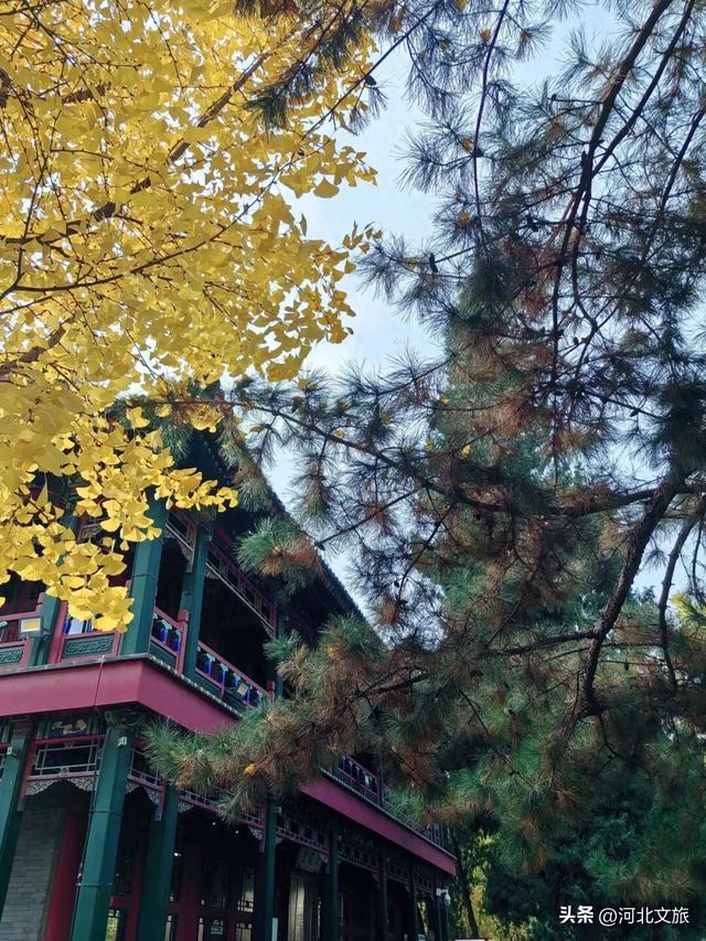 您预订的“诗与远方”已打包完毕！请签收