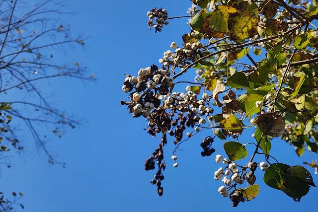 五上径山（游径山寺）