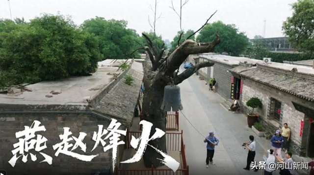 第3集：大地觉醒
