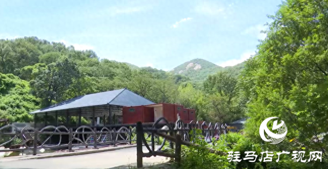 驿城区金顶山成“天然氧吧” 沉浸式“深呼吸”旅游受追捧