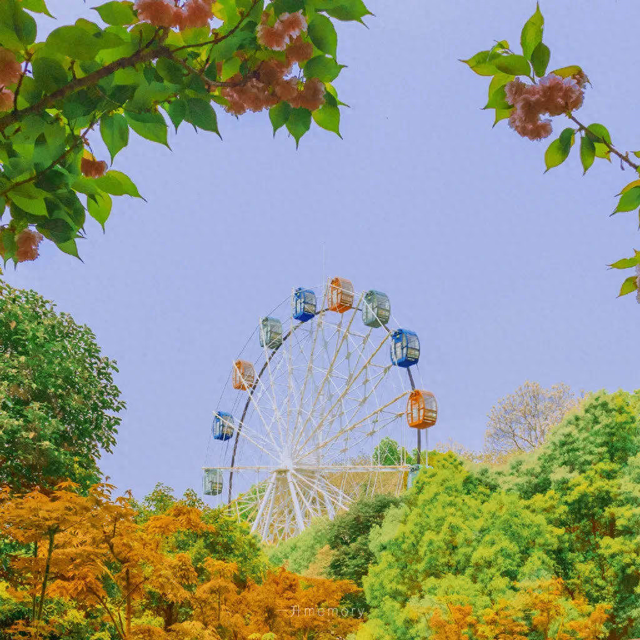 2025年10月16日 第163页