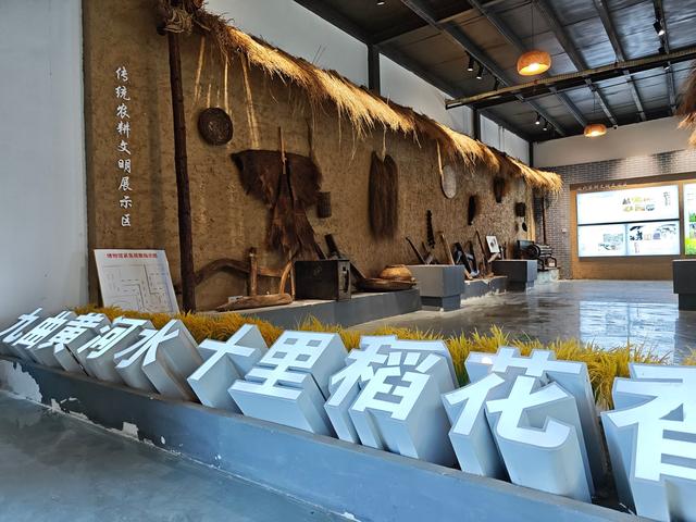 探访黄河稻米文化博物馆：感受黄河农耕文化