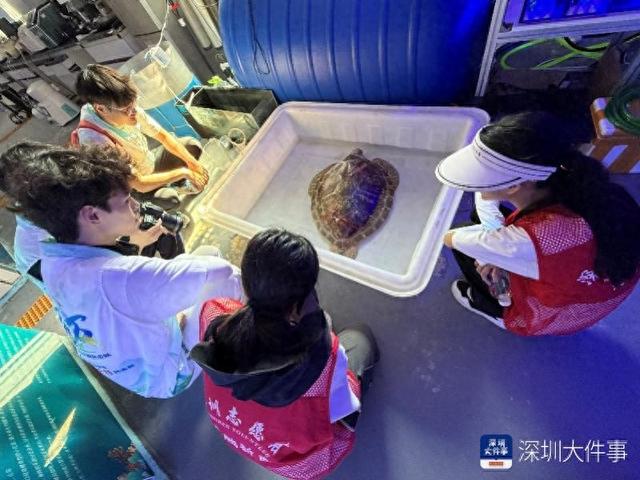 从“快闪打卡”到“沉浸守护”：大鹏官湖解锁文旅融合新模式