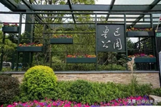 沿着鲁迅的足迹,赏上海秋日美景