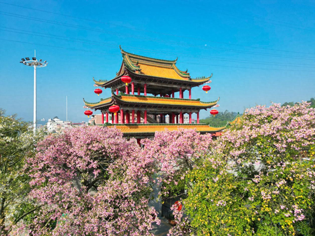 2026元旦去哪玩？来东莞观音山开启新年之旅！