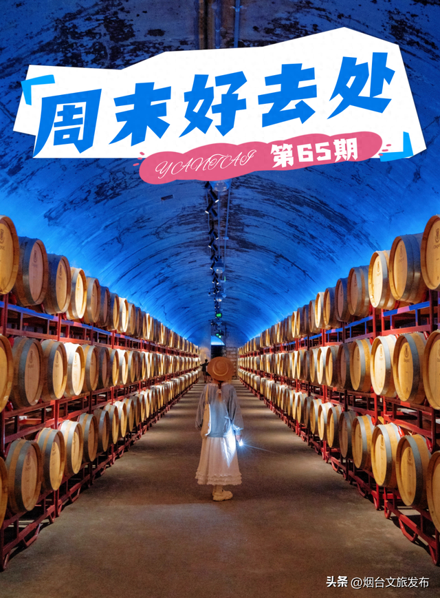 【乐游烟台】周末好去处丨免费！半价！烟台放大招→