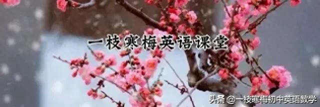 mind如何读（高考英语核心单词第2140天）